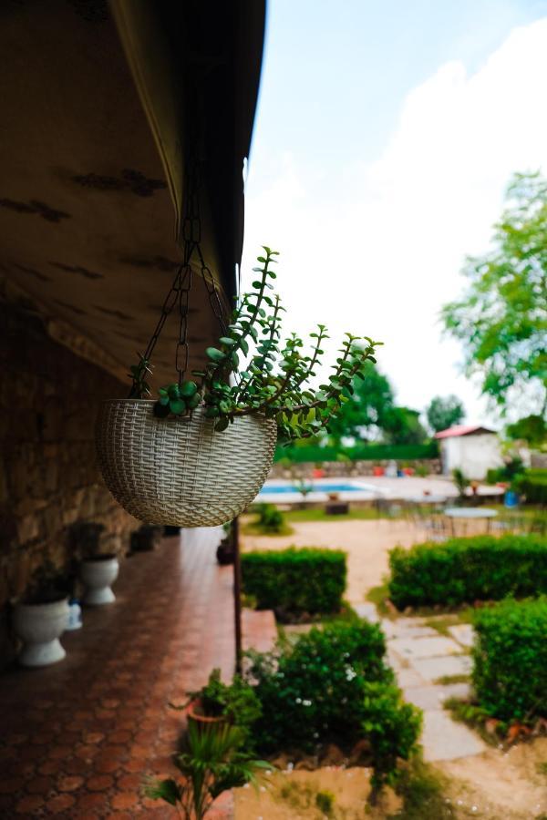 The Rustic Villa, A Stay With Luxuries Amenities And Exotic Nature 자이푸르 외부 사진